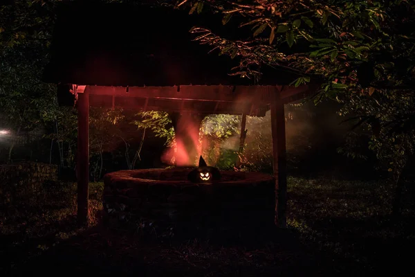 Zucche di Halloween su legno in una foresta spettrale di notte — Foto Stock