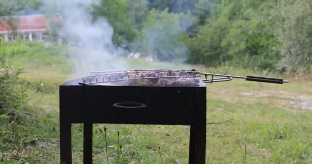 Plan Rapproché Préparation Sur Gril Dans Jardin — Video