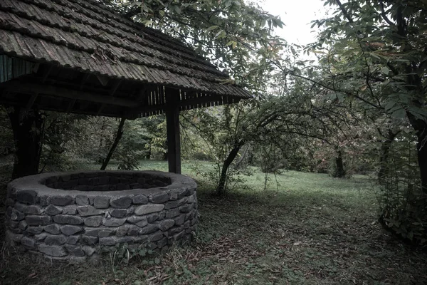 Verlassene Brunnen im Wald. Warten auf ein schreckliches Mädchen mit langen Haaren. Halloween-Konzept. Selektiver Fokus — Stockfoto