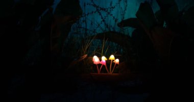 geceleri ormanda aydınlatıcı mantar yakın çekim görüntüleri