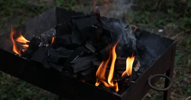 Close Beelden Van Houten Logs Branden Voor Barbecue — Stockvideo