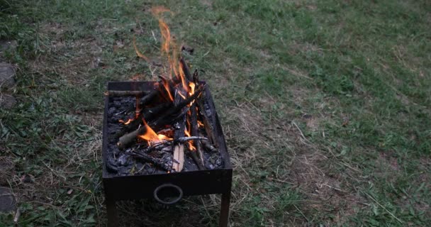 Těsné Záběry Dřevěných Kulatiny Spalují Gril — Stock video