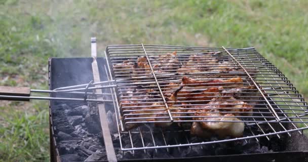 Riprese Ravvicinate Della Preparazione Alla Griglia Giardino — Video Stock