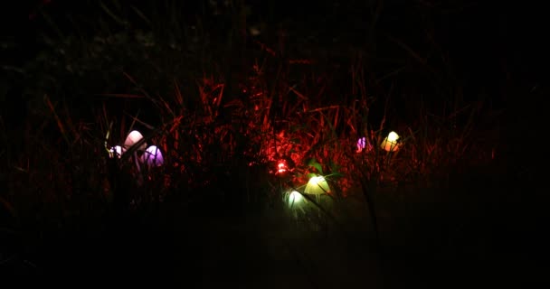 Close Upbeelden Van Het Verlichten Van Paddestoelen Het Bos Nachts — Stockvideo