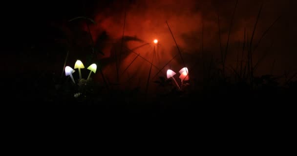 Крупним Планом Кадри Освітлення Грибів Лісі Вночі — стокове відео