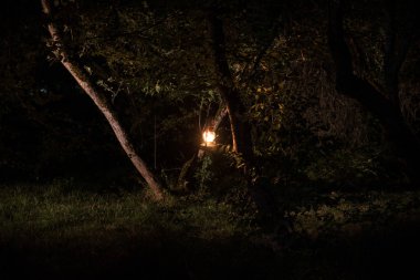 Korku Cadılar Bayramı konsepti. Geceleri ormanda eski yağ lambası yakmak. Kabus sahnesinin gece manzarası.