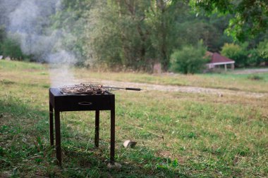 Metal şişte pişen ızgara kebap. Barbeküde kızartılmış et. Geleneksel doğu yemeği, şiş kebap. Kömür ve alevler üzerine ızgara, piknik, sokak yemekleri