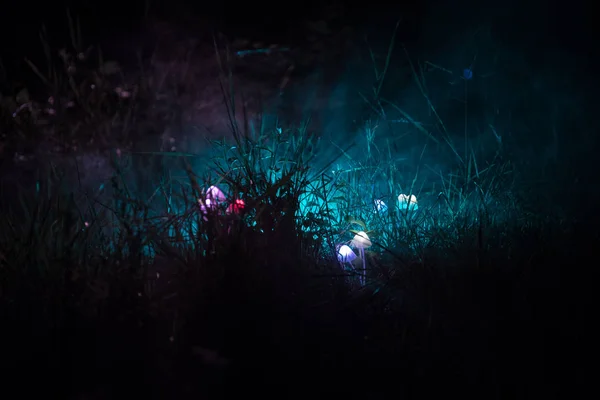 Fantasia cogumelos brilhantes em mistério floresta escura close-up. Belo tiro macro de cogumelo mágico ou três almas perdidas na floresta de avatar. Luzes de fadas no fundo com nevoeiro — Fotografia de Stock