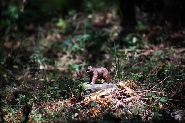 ヒグマが森の中を歩いている。公園でミニクマフィギュア(またはおもちゃのクマ). — ストック写真
