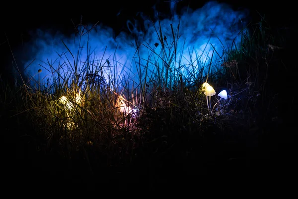 Φανταστική λαμπερά μανιτάρια στο μυστηριώδες σκοτεινό δάσος κοντινό. Όμορφο σφηνάκι από μαγικό μανιτάρι ή τρεις ψυχές που χάθηκαν στο δάσος των άβαταρ. Νεράιδα φώτα στο παρασκήνιο με ομίχλη — Φωτογραφία Αρχείου