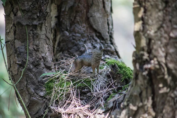 Loup hurlant dans la forêt. Mini figurine de loup debout sur le sol forestier . — Photo