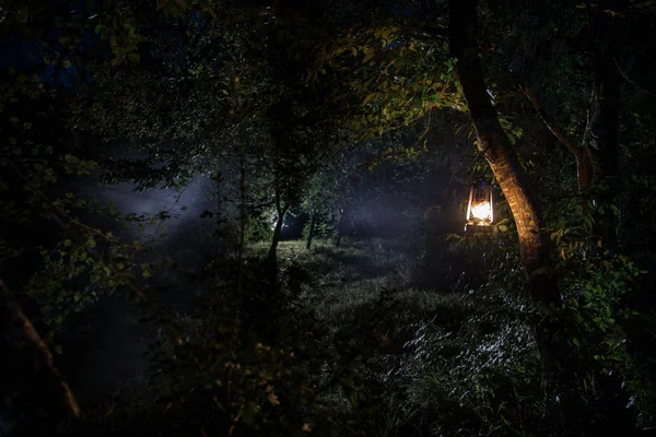 Horror Halloween concept. Burning old oil lamp in forest at night. Night scenery of a nightmare scene. — Stock Photo, Image