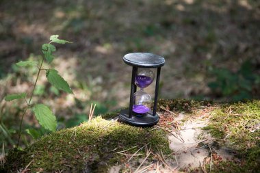 Kum bir kum saati ampuller ile çalışan bir son tarihe kadar geri sayım geçen zaman ölçme, kopyalama alanı ile renkli bir arka plan üzerinde. Ormanda soyut eski kum-cam.