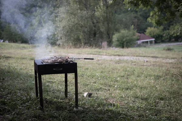 Cozinha de kebab grelhado em espeto de metal. Carne assada cozida no churrasco.Prato oriental tradicional, kebab shish. Grill em carvão e chama, piquenique, comida de rua — Fotografia de Stock