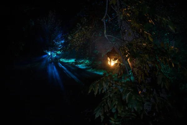 Horror Halloween concept. Burning old oil lamp in forest at night. Night scenery of a nightmare scene. — Stock Photo, Image