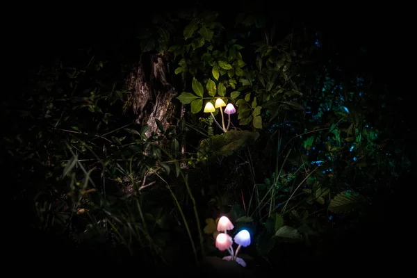 Fantasy glowing mushrooms in mystery dark forest close-up. Beautiful macro shot of magic mushroom or three souls lost in avatar forest. Fairy lights on background with fog