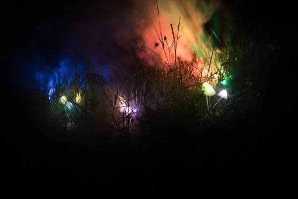 Fantasia cogumelos brilhantes em mistério floresta escura close-up. Belo tiro macro de cogumelo mágico ou três almas perdidas na floresta de avatar. Luzes de fadas no fundo com nevoeiro — Fotografia de Stock