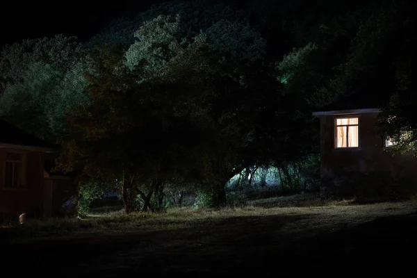 Vecchia casa con un fantasma nella foresta di notte o Abandoned Haunted Horror House nella nebbia. Vecchio edificio mistico nella foresta di alberi morti. Alberi di notte con la luna. Luci surreali. Horror concetto di Halloween — Foto Stock