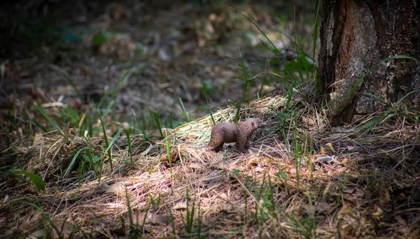 ヒグマが森の中を歩いている。公園でミニクマフィギュア(またはおもちゃのクマ). — ストック写真