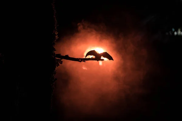 Představa hrůzy Halloweenu. Netopýr šíří křídla sedícího na stromě v mlhavé noci.. — Stock fotografie