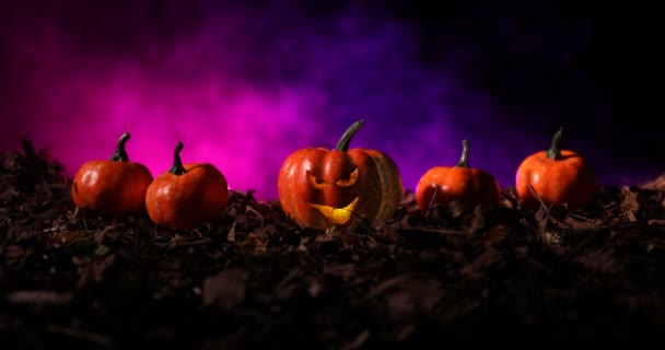 Halloween Jack-o-lantaarn op herfst bladeren. Enge Halloween pompoen die door de rook kijkt. Gloeiende, — Stockvideo