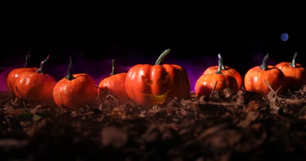 Halloween Jack-o-lantaarn op herfst bladeren. Enge Halloween pompoen die door de rook kijkt. Gloeiende, — Stockvideo