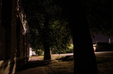 Gece oldukça köy üzerinde dolunay. Işıklar ile eski şehir caddesi güzel gece manzara. Rusya