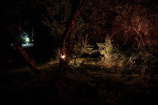 Horror Halloween koncepció. Égő régi lámpaolaj az erdőben éjjel. Egy rémálom jelenet éjszakai látványa. — Stock Fotó