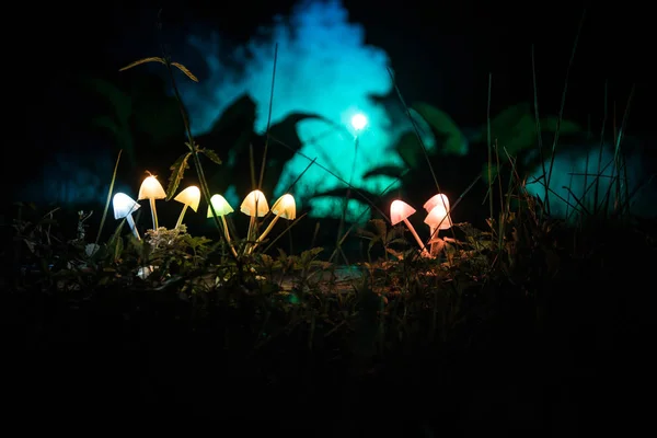 Fantasy glowing mushrooms in mystery dark forest close-up. Beautiful macro shot of magic mushroom or three souls lost in avatar forest. Fairy lights on background with fog — Stock Photo, Image