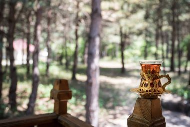 Ormanda camda doğu siyah çayı. Doğu çayı konsepti. Armudu geleneksel fincan. Yeşil doğa arka planı.