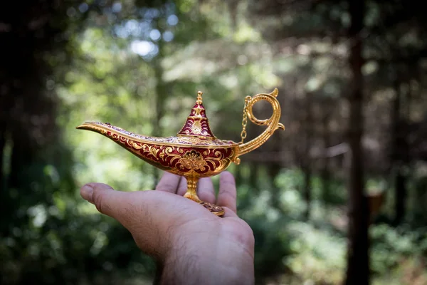 Antique artisanal Aladdin Arabian nights genie style oil lamp at the forest. Lamp of wishes fantasy concept