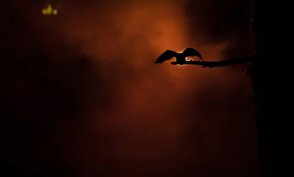 Horror-Halloween-Konzept. die Fledermaus breitet ihre Flügel aus, wenn sie in nebliger Nacht auf dem Baum sitzt. — Stockfoto