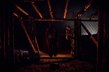 Korku görünümü (gece) akşam intihar dekorasyon ağaca asılmış bir kız. Ölüm cezası infaz veya intihar soyut fikir. Farklı arka plan dekorasyon