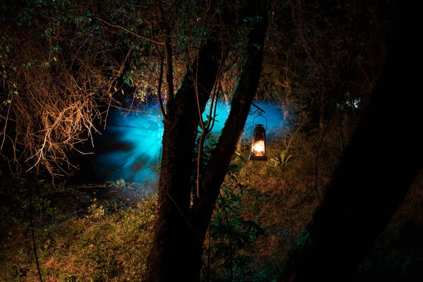 Horror Halloween concept. Burning old oil lamp in forest at night. Night scenery of a nightmare scene. — Stock Photo, Image