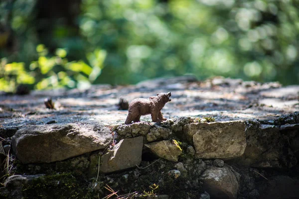 Ours brun marchant dans la forêt. Mini-ours (ou ours jouet) dans le parc . — Photo