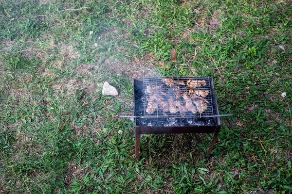 Grilovaný kebab na kovové špejli. Pečené maso vařené na grilu.Tradiční východní pokrm, shish kebab. Gril na dřevěném uhlí a plameni, piknik, pouliční jídlo — Stock fotografie