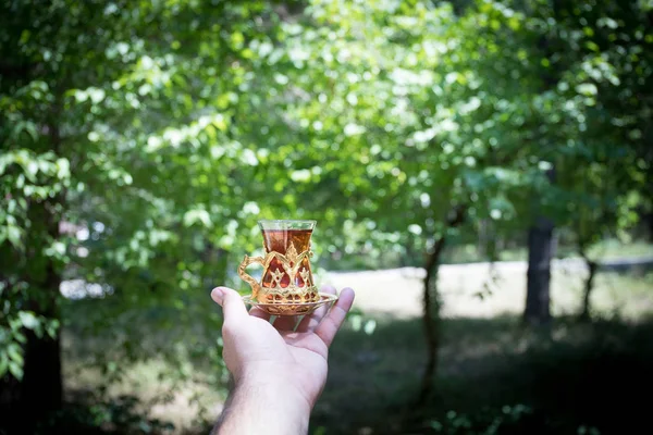 东方红茶在森林里的玻璃。东方茶概念。阿穆杜传统杯。绿色自然背景. — 图库照片
