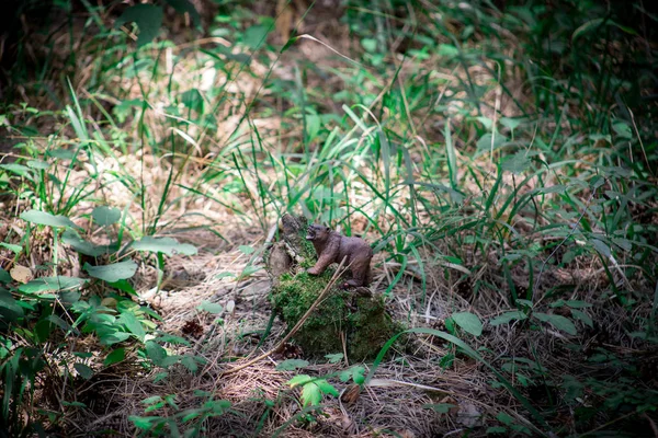 Ours brun marchant dans la forêt. Mini-ours (ou ours jouet) dans le parc . — Photo