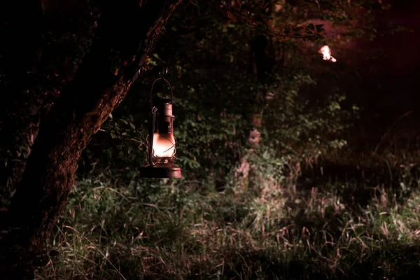 ホラーハロウィーンのコンセプト。夜に森の中で古いオイルランプを燃やす。悪夢のシーンの夜景. — ストック写真