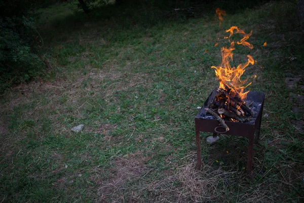 Grilovaný kebab na kovové špejli. Pečené maso vařené na grilu.Tradiční východní pokrm, shish kebab. Gril na dřevěném uhlí a plameni, piknik, pouliční jídlo — Stock fotografie