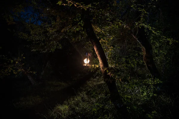 Conceito de Halloween horrível. Queimando lâmpada de óleo velha na floresta à noite. Cenário noturno de uma cena de pesadelo . — Fotografia de Stock