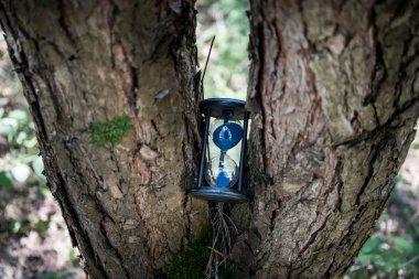 Kum bir kum saati ampuller ile çalışan bir son tarihe kadar geri sayım geçen zaman ölçme, kopyalama alanı ile renkli bir arka plan üzerinde. Ormanda soyut eski kum-cam.