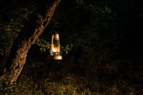 Conceito de Halloween horrível. Queimando lâmpada de óleo velha na floresta à noite. Cenário noturno de uma cena de pesadelo . — Fotografia de Stock