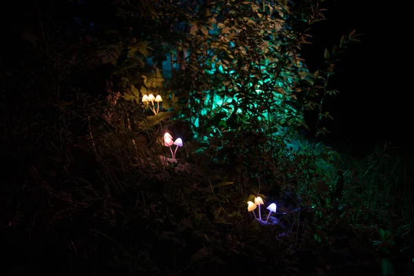 Fantasie glühende Pilze im geheimnisvollen dunklen Wald in Nahaufnahme. schöne Makroaufnahme von magischen Pilz oder drei Seelen im Avatarwald verloren. Fee Lichter auf Hintergrund mit Nebel — Stockfoto