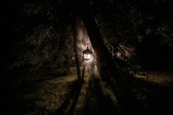 Představa hrůzy Halloweenu. Hořící starou olejovou lampu v noci v lese. Noční scenérie noční můry. — Stock fotografie