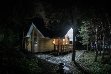 Geceleri ormanda bir hayaletin olduğu eski bir ev ya da sis içinde terk edilmiş bir korku evi. Ölü ağaç ormanındaki eski mistik bina. Geceleri aylı ağaçlar. Gerçeküstü ışıklar. Korku Cadılar Bayramı konsepti