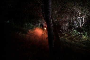 Korku Cadılar Bayramı konsepti. Geceleri ormanda eski yağ lambası yakmak. Kabus sahnesinin gece manzarası.