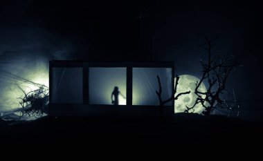 Geceleri ormanda hayaletli eski bir ev. Pencerede korku silueti. Ormandaki eski bina. Gerçeküstü ışıklar. Korku Halloween kavramı