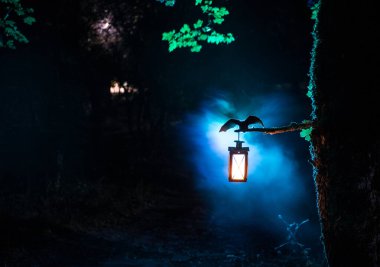 Korku Cadılar Bayramı konsepti. Yarasa sisli gecede ağaçta otururken kanatlarını açıyor..