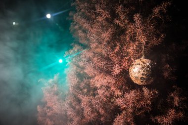 Gece açık havada arka planda ışıklar ile çam ağacı dalı noel ve yeni yıl dekorasyon. Kış tatili konsepti.